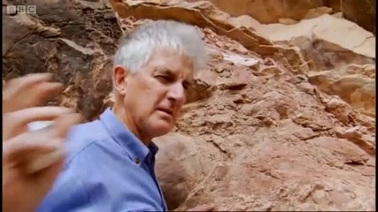 Earths rarest and ancient fossils - Bbc 