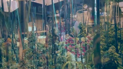 Fabolous - We Get High
