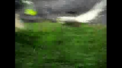 Stupid Kids Compilation