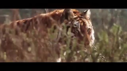 Kat Graham - I Want It All (official Music Video)