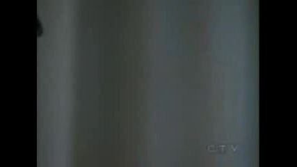 Steph Wars - Djefera