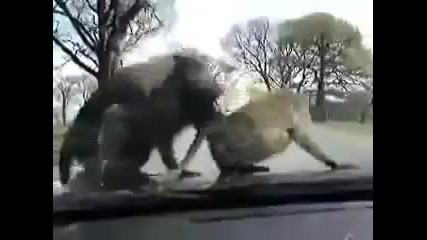 Безплатен превоз и още нещо