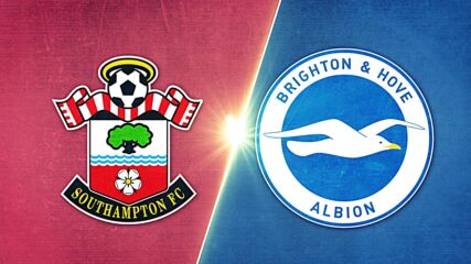 Southampton vs. Brighton and Hove Albion - Game Highlights