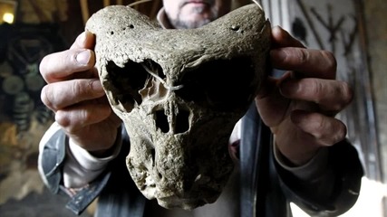 Мистерии: Странен череп намерен в Русия