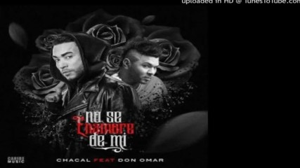 Chacal ft. Don Omar - No Se Enamore De Mi ( Reggaeton 2017 )