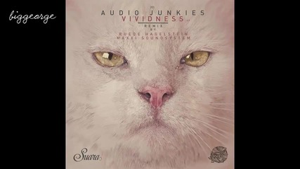 Audio Junkies ft. Haptic - Vividness ( Original Mix )