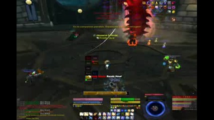 Beasts of northrend