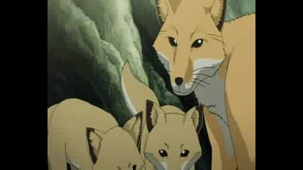 Fullmetal Alchemist Brotherhood - 12 Bg Sub 