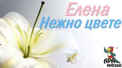Елена - Нежно цвете 2000