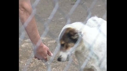 So Akcia Kucheta