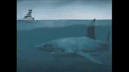 Мегалодон Най - голямата акула в света [трябва да се види]