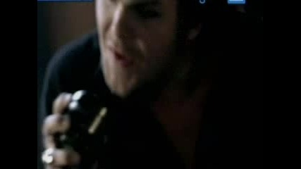 No Fear and Bitter - sweet