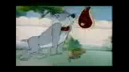 Tom And Jerry - Love That Pup