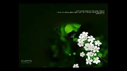 Last Wish