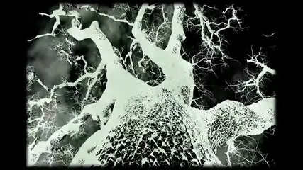 Ital - The World Of Spirit Plants ( Original Mix ) 