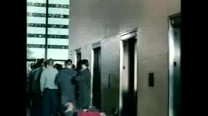 Човешко дамино