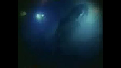 Paradise Lost - Eternal