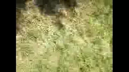 Side Flip