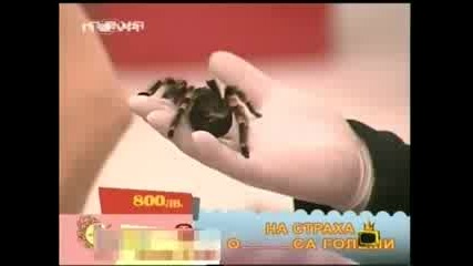 Господари на ефира - Гала на кафе