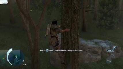 Assassin's Creed 3 - Пера и дървета