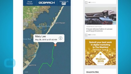 Meet Mary Lee! The Great White Shark Tweets Off the Jersey Shore!