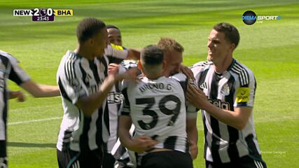 Goal by Newcastle United
