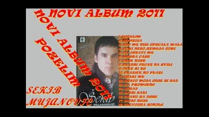 Sakib Mujanovic 2011 Promo - Idi , Ostavi Me 