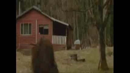 Wolf Pack - Number 1
