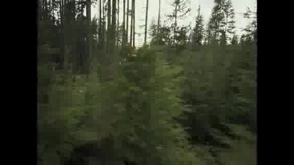 Follow Me - Downhill Freeride
