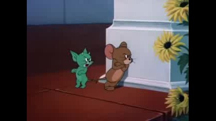 Tom и Jerry  -  Smitten Kitten