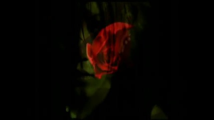 Nightmare - Love Addict Pv