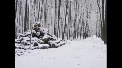 зима 