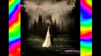 Pics Of Breaking Dawn 