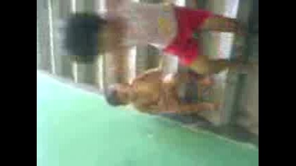 ismail 2007