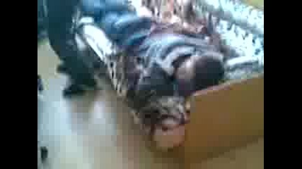 Ostavete me