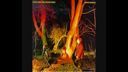 Echo and the bunnymen - Villiers terrace