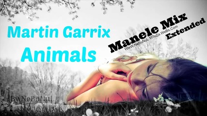 Балканската версия на Martin Garrix - Animals