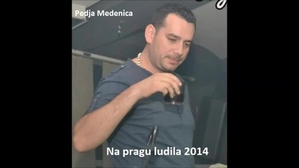 Pedja Medenica - Na pragu ludila - (Audio 2014)