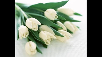 8 mart