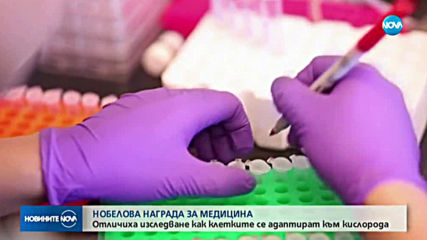 Обявиха лауреатите на Нобеловата награда за медицина