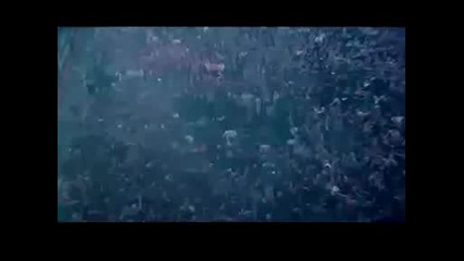 Linkin Park Live HQ