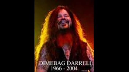 Pantera-hollow