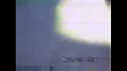 Жена бива нападната - изядена от Бяла Акула (live 1994) (+18) 