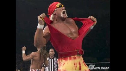 Wwe Hulk Hogan Lyrics