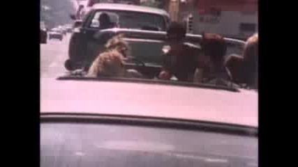 The Go Gos - Our Lips Are Sealed