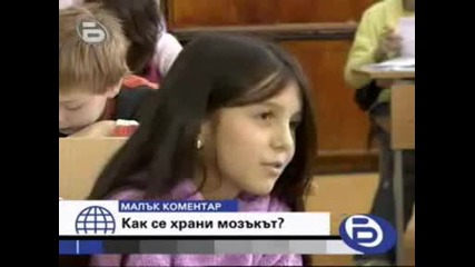 Малък Коментар - Как Се Храни Мозъкът