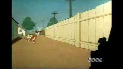 Sylvester - Dog Gone Cats