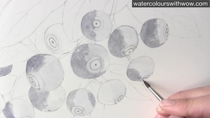 Как да нарисуваме боровинки с 3 D ефект използвайки акварел /урок от Anna Mason/