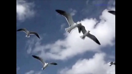 Origen - Dance of the clouds - Angels music