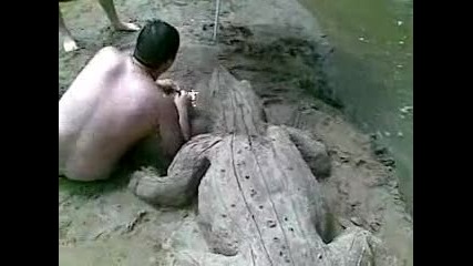 Крокодил в река Арда 